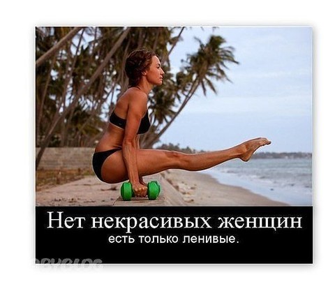25390_Sport.jpg