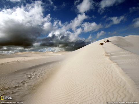 29422_1600x1200_wallpaper_cb1291140066.jpg