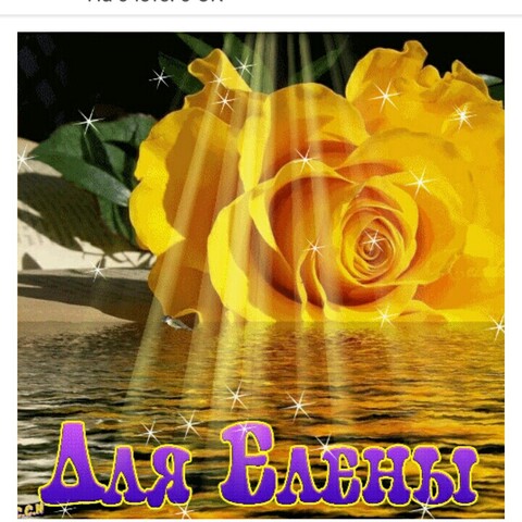 Для Елены.jpg