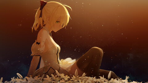 saber-lily-fate-grand-order-lw.jpg