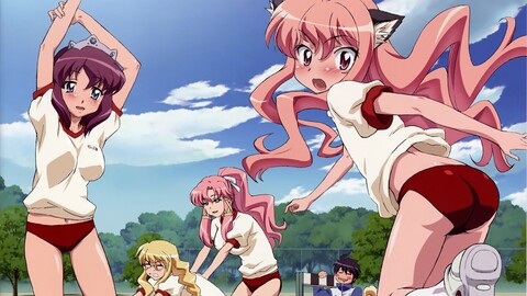 louise-franoise-le-blanc-de-la-vallire-zero-no-tsukaima-7948f49.jpg