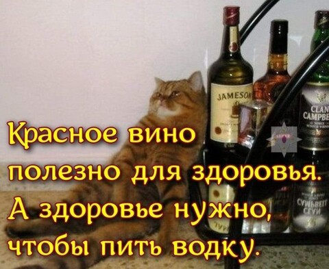 a17af511da16754d3d58c07c5aedd378.jpg