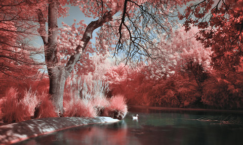 river of dreams.jpg