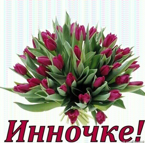 image - 2020-03-08T041846 888.jpg