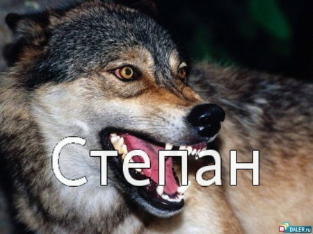 Stepan.jpg