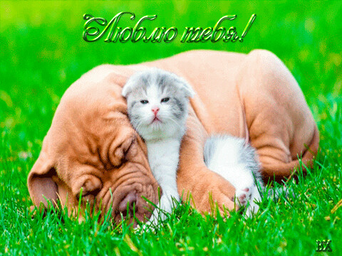image (12).png
