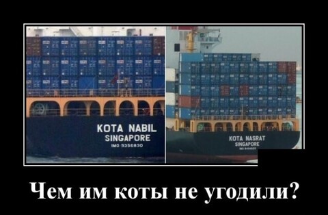 343a230e-ce6a-46ac-848d-6a286fccb4cc.jpg