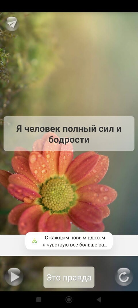 IMG-20240407-WA0014.jpg