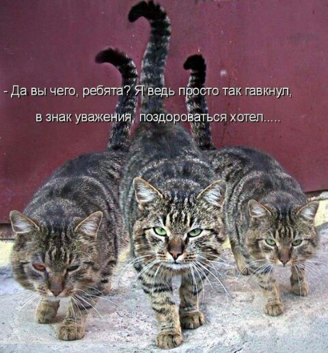с юм.jpg