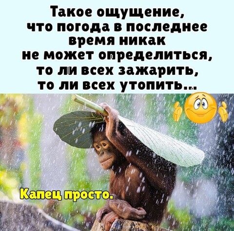b760b230378e5034139a5db03afab57fdb8b85ec6e19ef610a6d95e1dcc75f6f 1 jpg 1.jpg