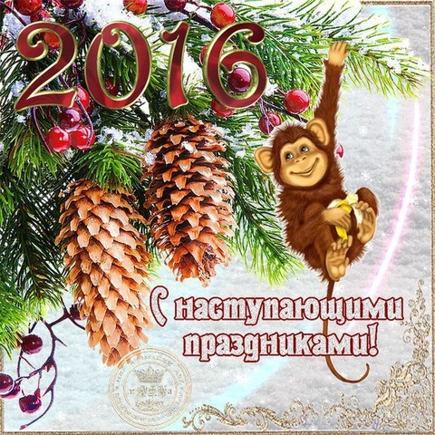 IMG-20151217-31.jpg