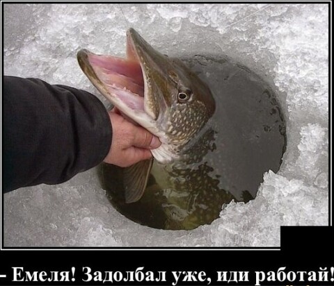 50720bba-5f9a-4a6f-9a72-19f9923355a8.jpg