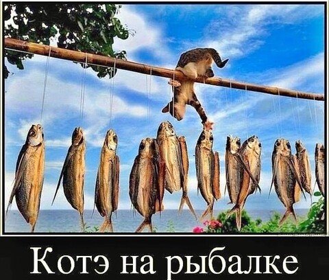 8cb0a9b5-f8d3-48a1-8365-51f06b8ed598.jpg