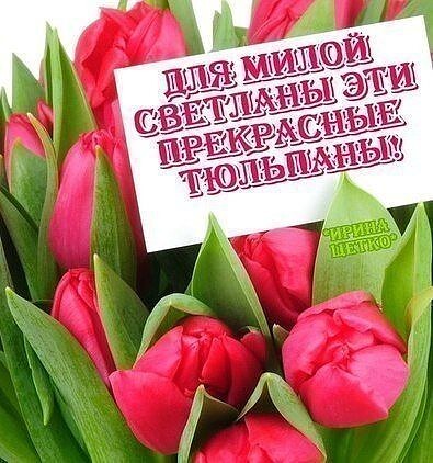 image (64).jpg
