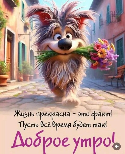 3e98391a-791d-4761-9524-eddd91445d82.jpg