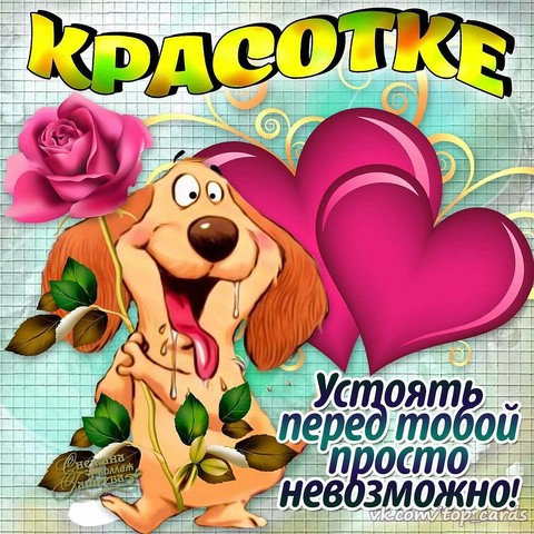 L2HQAPznxOg.jpg
