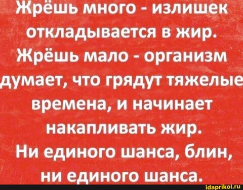1b6d27b761416aa2f4d9b4dcf463d02b8d14ed015bacf627b73b8830f7a3126f 1 jpg.jpg