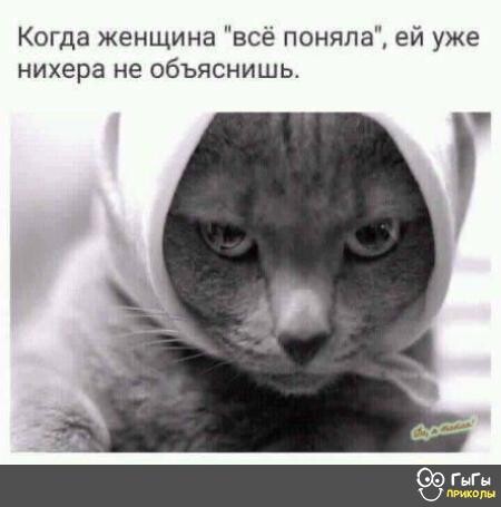 cf447a46-84e0-4bb6-8ab1-684dde6b0d7c.jpg