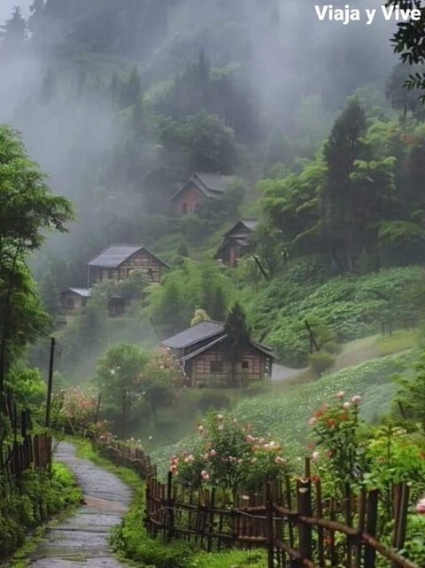 3ecee2927c6820cc2a51f13565754e70.jpg