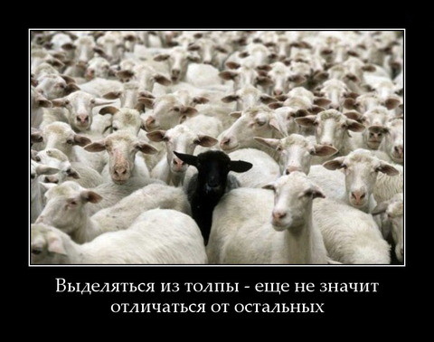 Odna na tysyachu.jpg