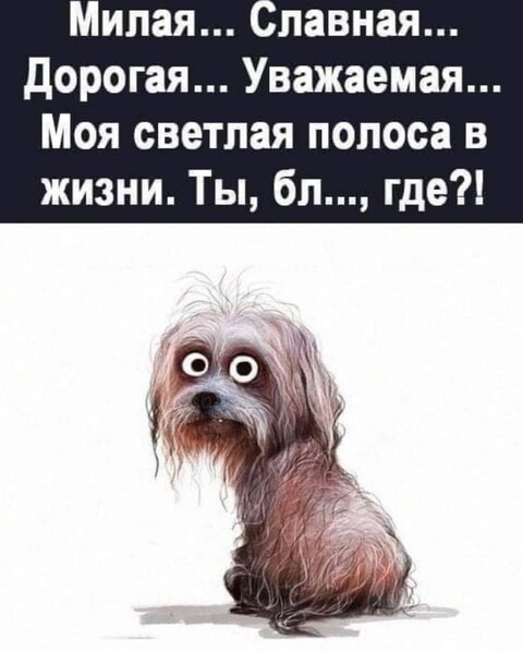 7f1d6a33-e4c8-4940-943e-a1cb0f6ce3d8.jpg