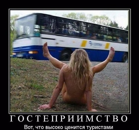 3839.jpg