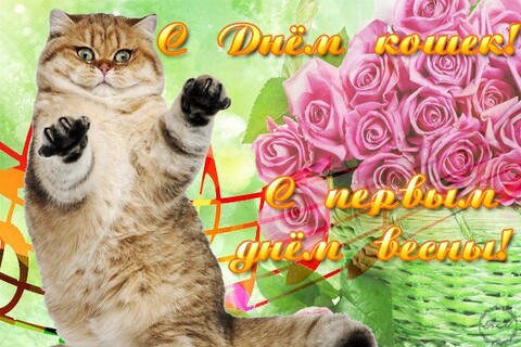 1 Марта С Днём Кошек !.jpg