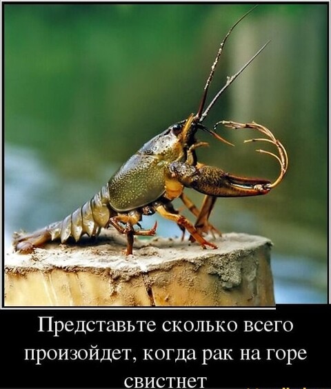 2315ec95-e70c-449e-acc1-5d94520d6bec.jpg