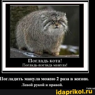09a6f53d-8ee7-413b-8067-b6a0834492f1.jpg