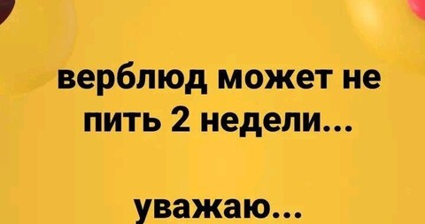 c0062cd7d480e305ecd96d02661099fffa10e9a9f6e1325ed9a0f7a7901a4611 1 jpg 1.jpg