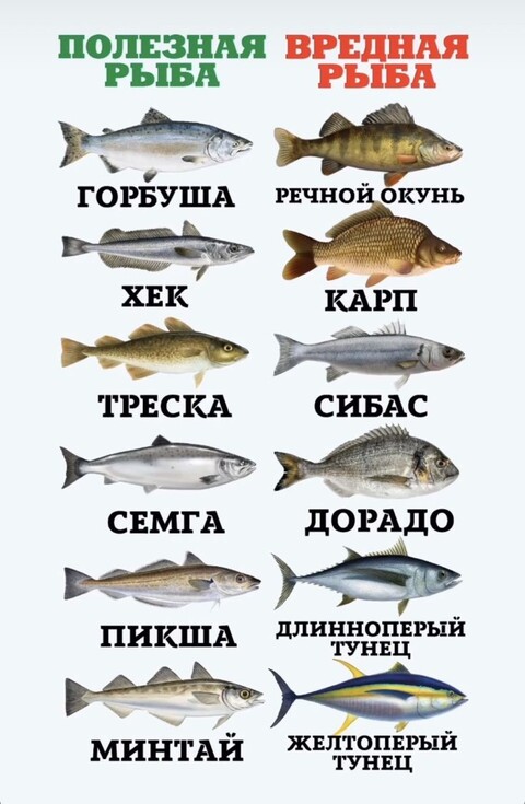 633f57f56b5b708f5397bd7431e8adaa.jpg