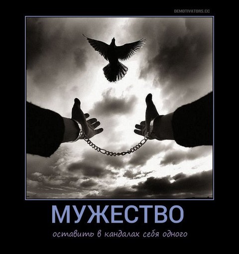 eijMJ6O-fcQ.jpg