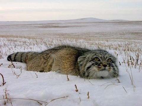 image(1).jpg