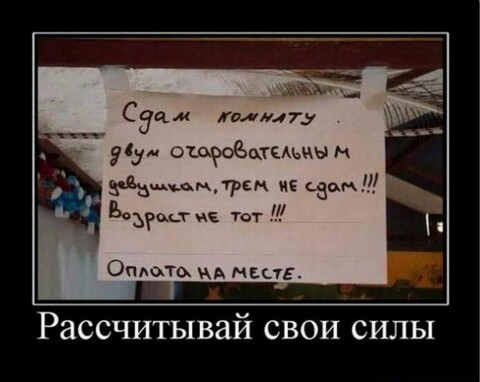 27ad2e6c-2938-4db3-9d60-1ac592beb43e.jpg