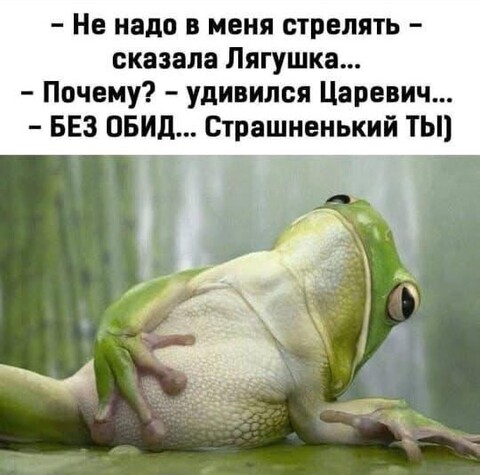 f9ed62d3390b53f59b9ad42f7a02e05591ae2af4cc0f4bb1aa5ee19f7145452f 1 jpg 1.jpg
