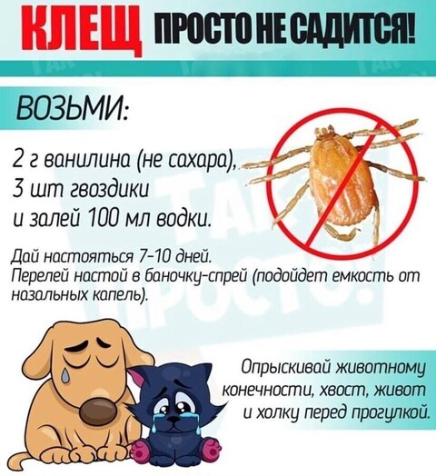 d7dceacfdace0d2e2b0df193c280cdb7.jpg