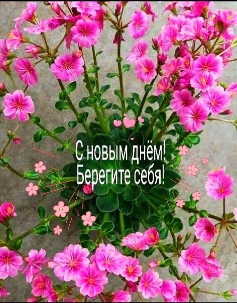 С Новым Днём.jpg