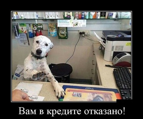 дм.jpg