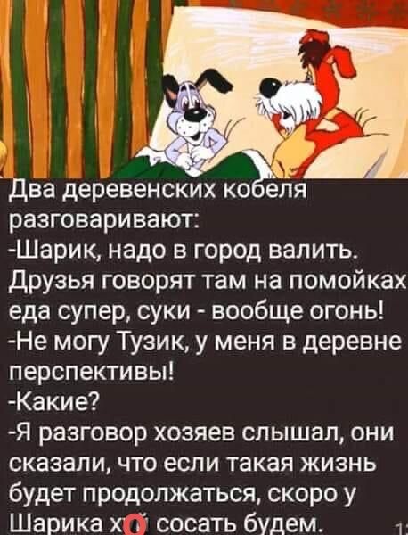 471272326d9989bb3a3ad5c06f879535.jpg