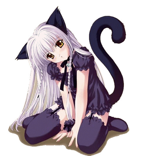 0.gif