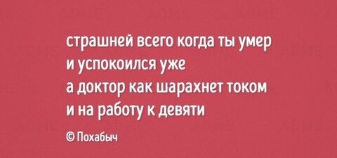 6b50060b-f92b-4ee1-8756-7e01f6c20f3e.jpg