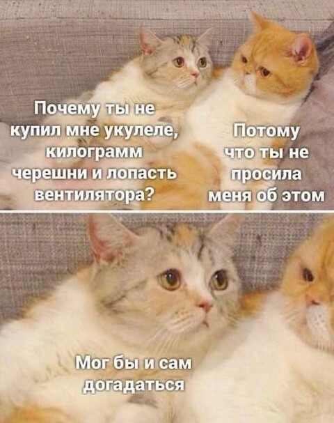 5c00fe6440b54d9e406279321aba9ddf.jpg