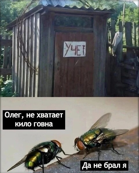 9820de0e-a377-47da-95c8-4ec619a0b9b9.jpg