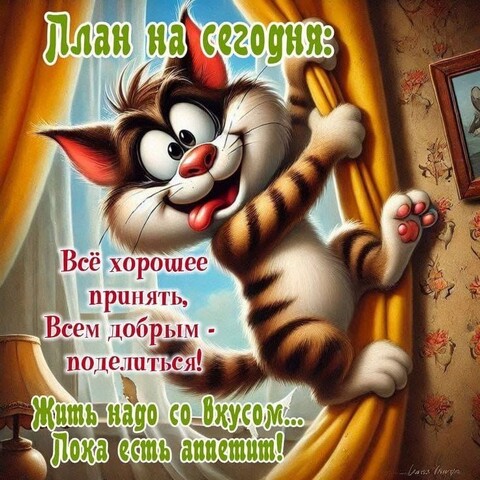 6ec9394da9b085a6e5a29858a766e81e.jpg