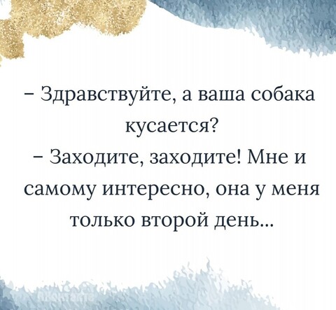 b1793013-911d-4b9f-9709-aa953e093c3a.jpg