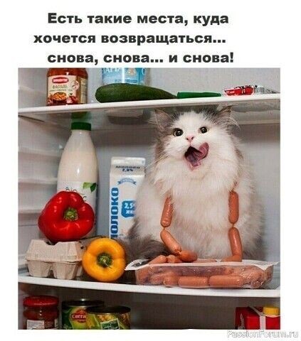 00414d5266ece7f1518de9d0fcba8544.jpg