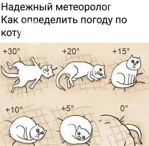 ece89b68f347b7d524952e394a9c621dd0c9eca0d6cc67fd3d2eb82b6708cf9b 1 jpg 1.jpg