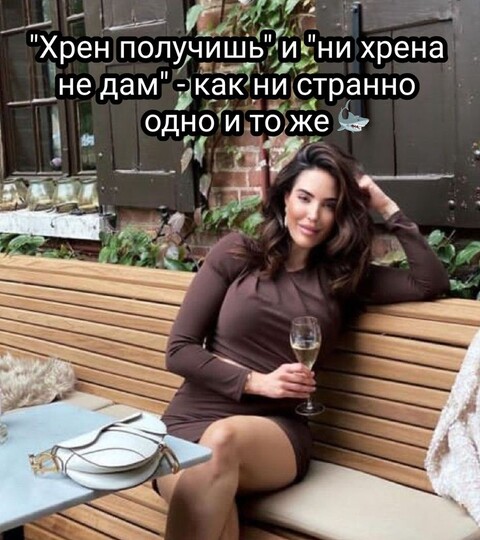296e9d415254c37873e0a7575019c110.jpg