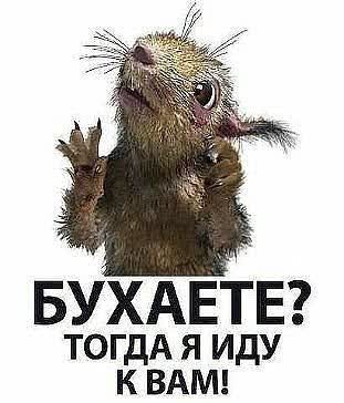 Тогда иду к вам.jpg