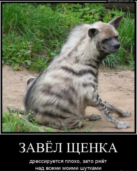 f7c1ae7c-1c3b-4696-be27-381806aa58cf.jpg